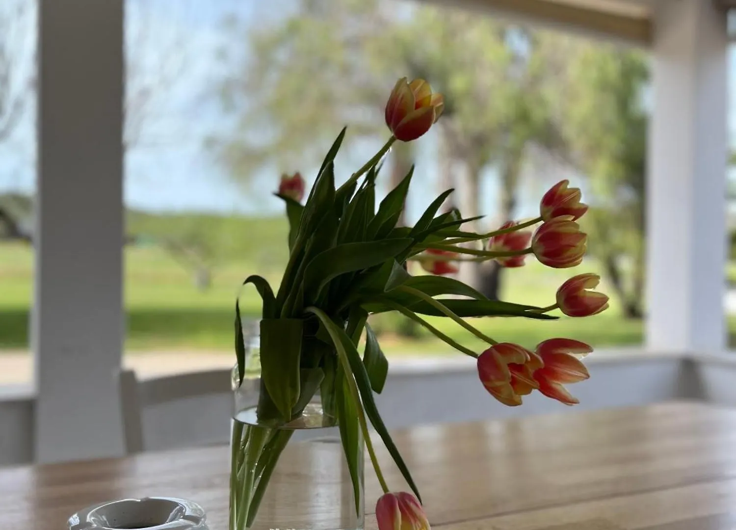 Guest house Casa Marongiu Hotel Santa Maria la Palma Italy